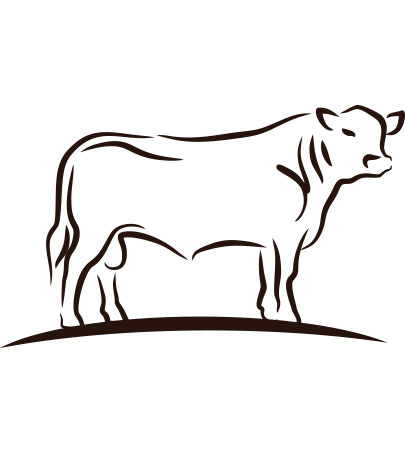 OBarO Limousin Cattle